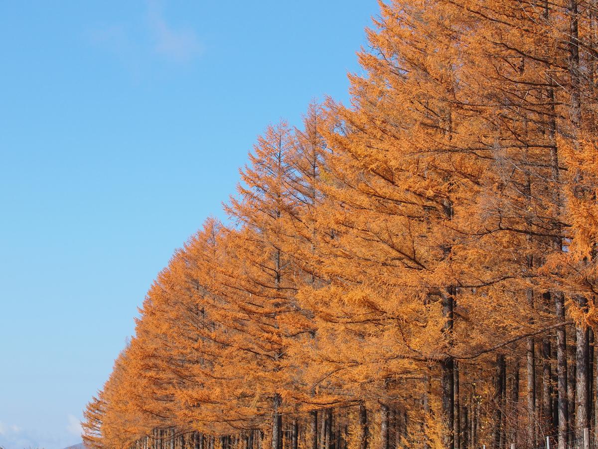 Log Hotel Larch Lake Kanayama Minamifurano Εξωτερικό φωτογραφία